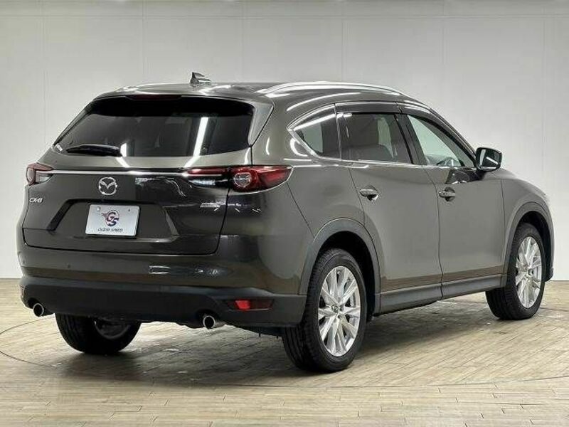 CX-8-15