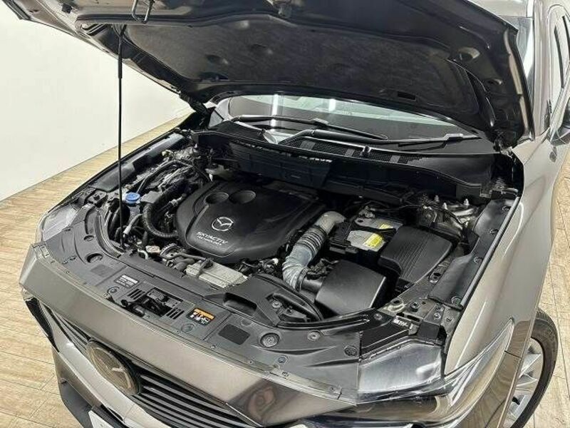 CX-8-17