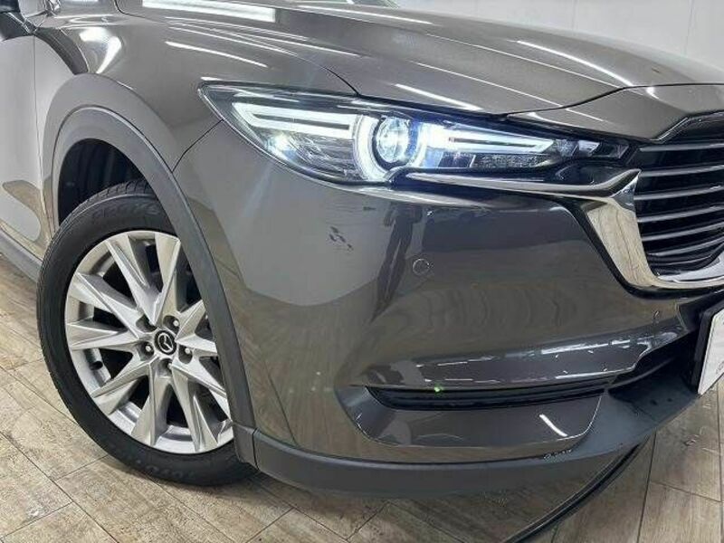CX-8-19