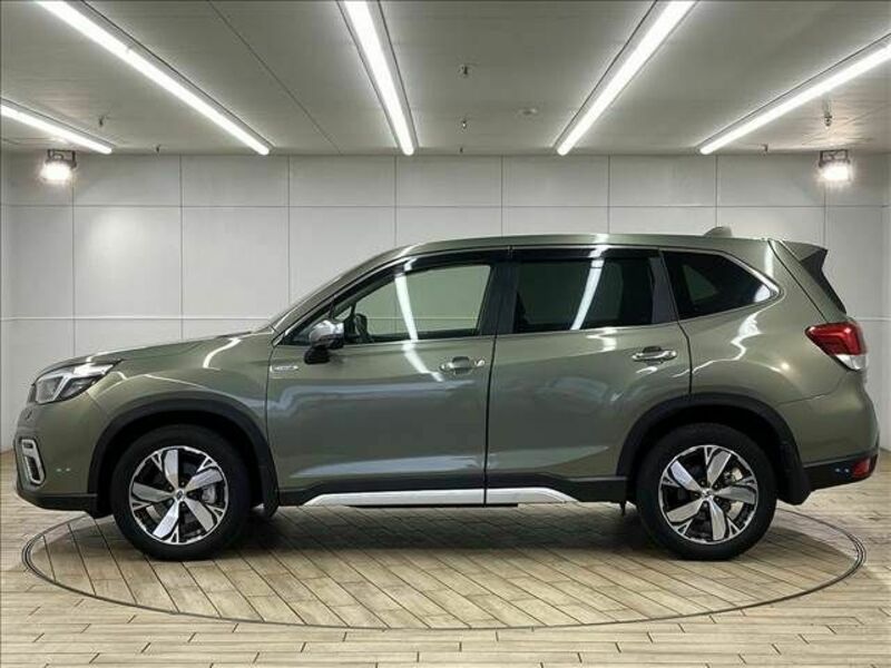 FORESTER