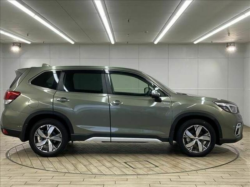 FORESTER