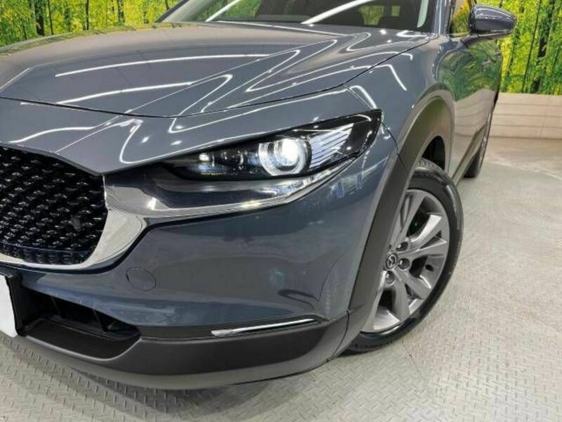 CX-30-11