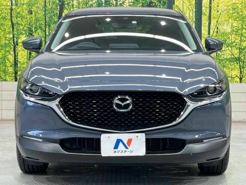 CX-30-13