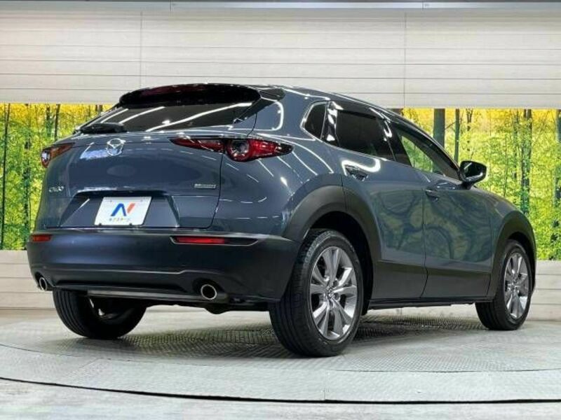 CX-30-16