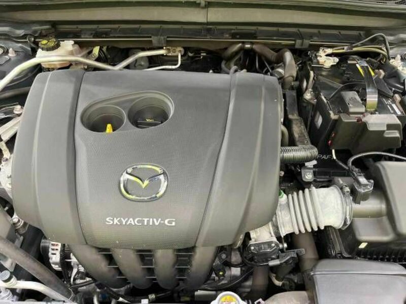 CX-30-17