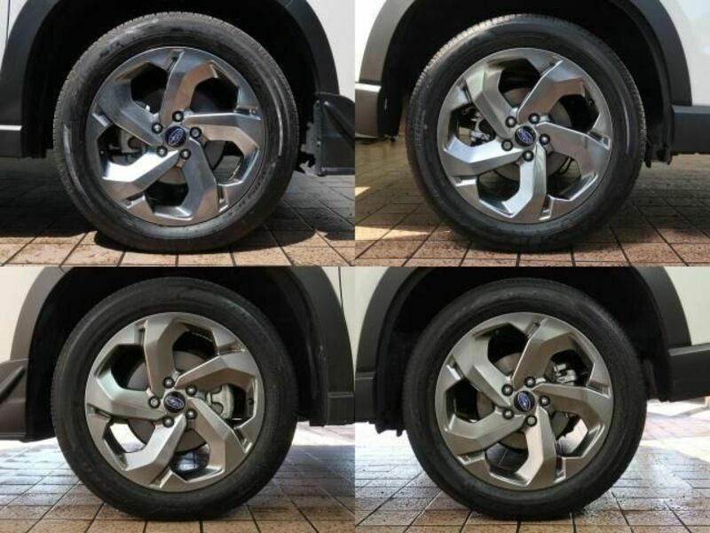 FORESTER-5