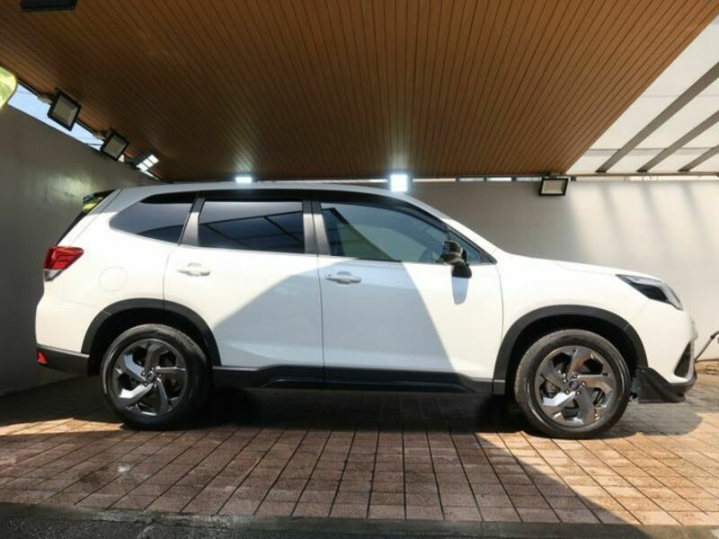 FORESTER-6