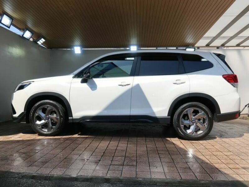 FORESTER-7