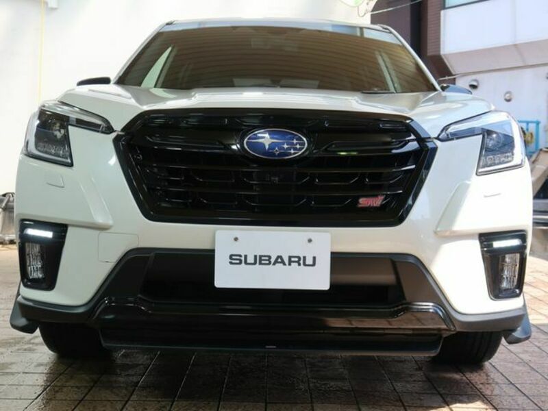 FORESTER-8
