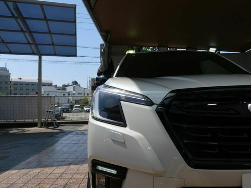 FORESTER-23