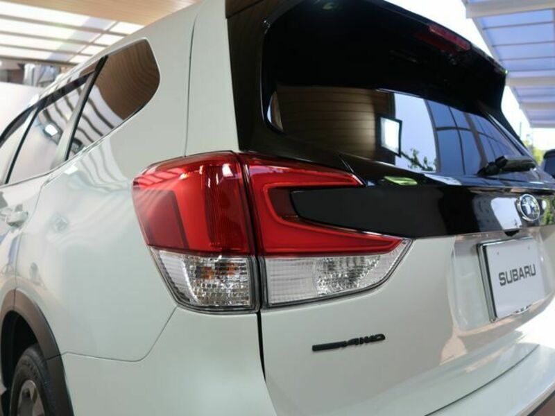 FORESTER-26
