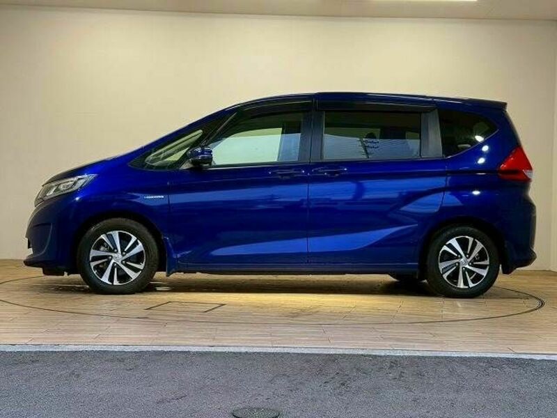 FREED HYBRID-13