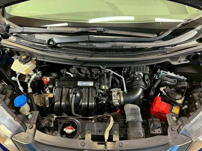 FREED HYBRID-19