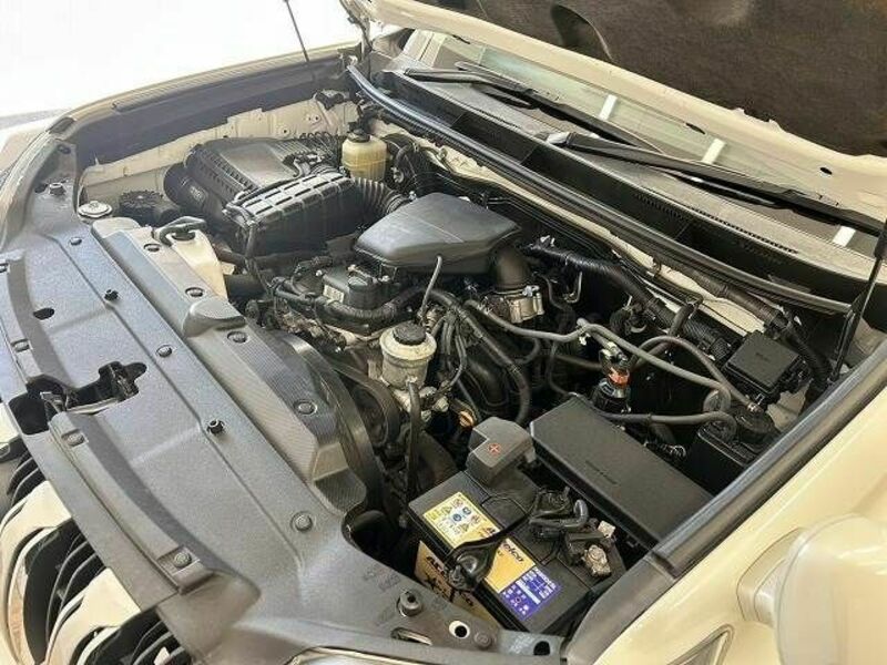 LAND CRUISER PRADO-19