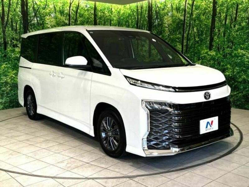 VOXY-17
