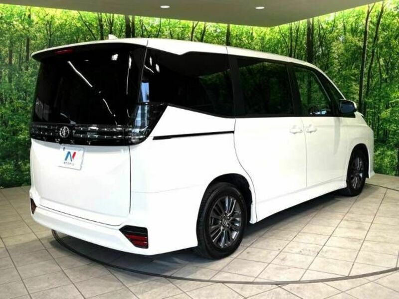 VOXY-18