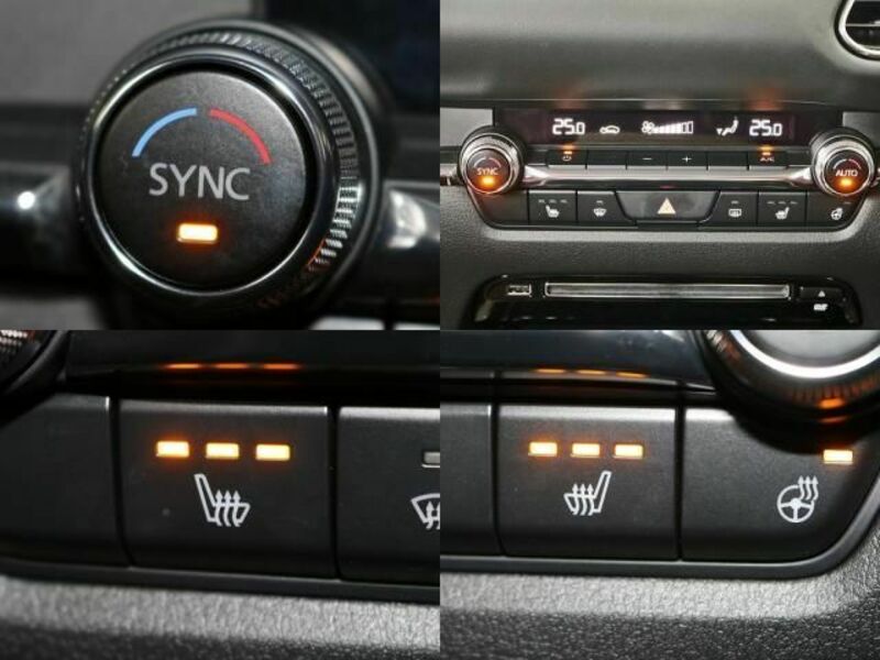 CX-30-3