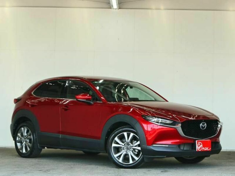 CX-30-6