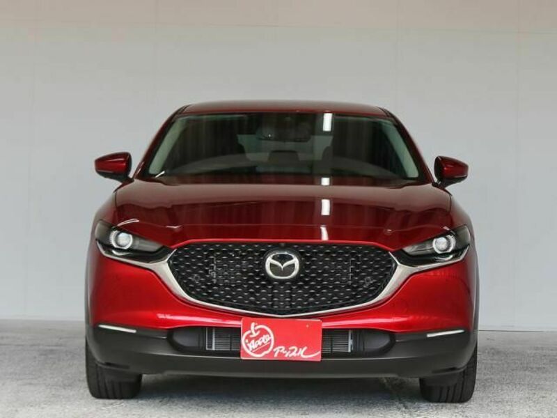 CX-30-8