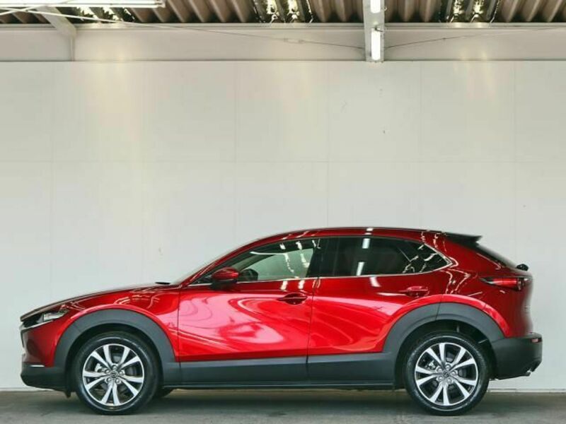 CX-30-10