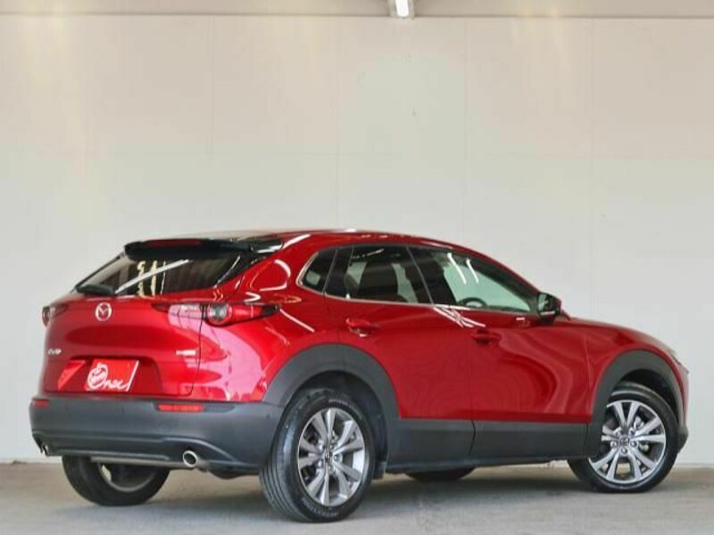 CX-30-11