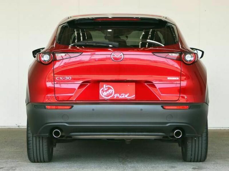 CX-30-13