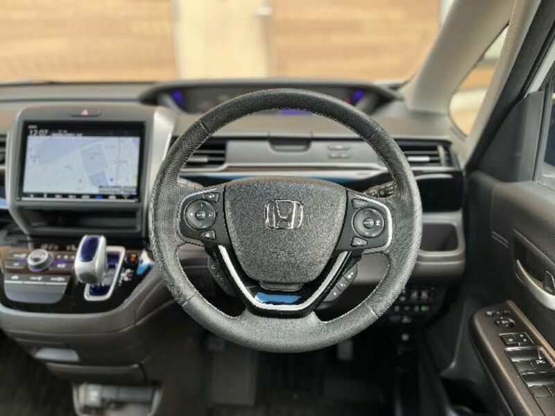 FREED HYBRID-13