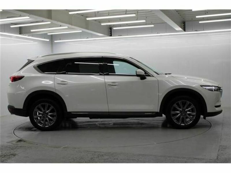 CX-8-7