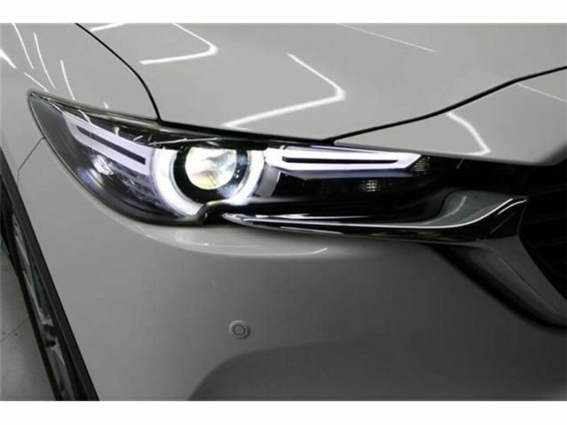 CX-8-10