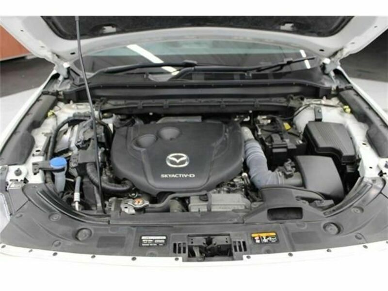CX-8-18