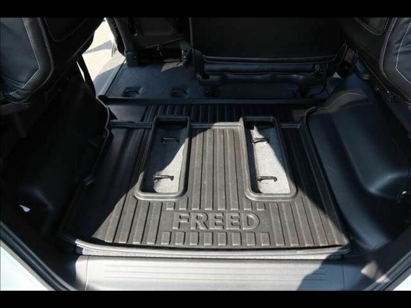FREED HYBRID-26