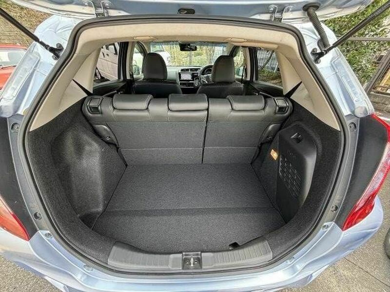 FIT HYBRID-19