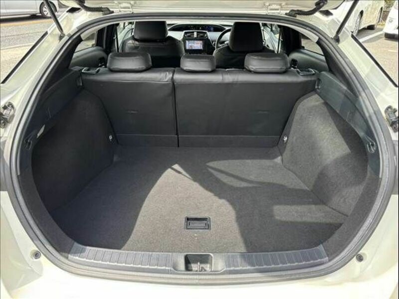 PRIUS-17
