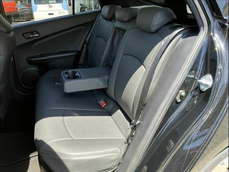 PRIUS-16