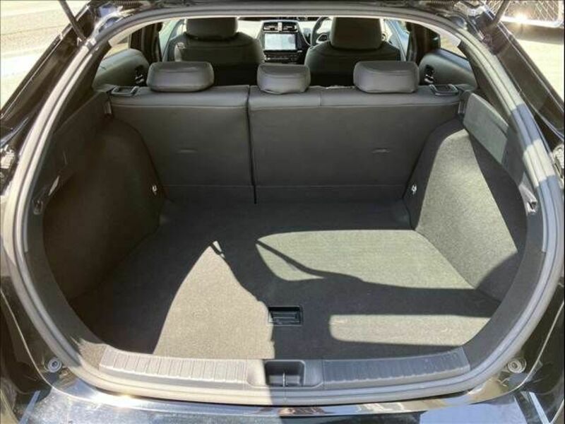 PRIUS-17