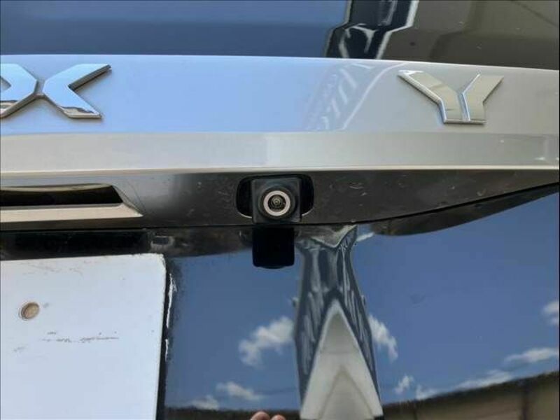VOXY-11