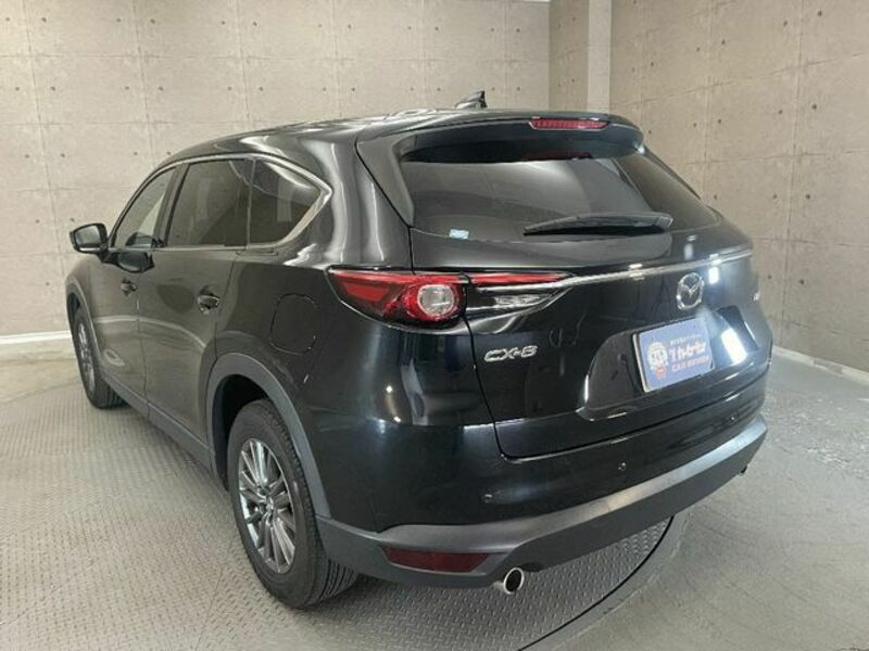 CX-8-2