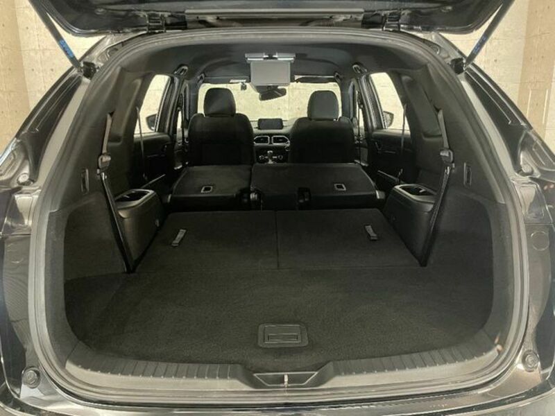 CX-8-10