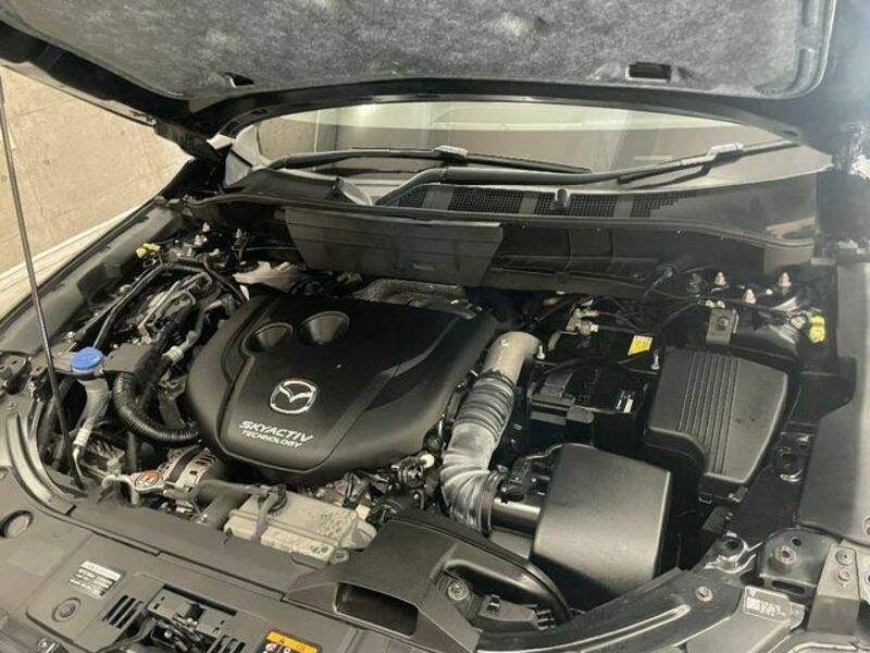 CX-8-22