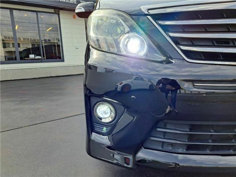 ALPHARD-33