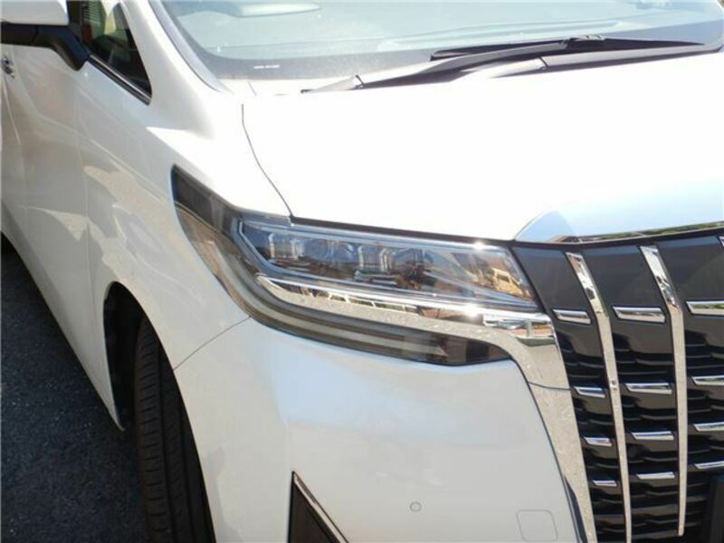 ALPHARD-7