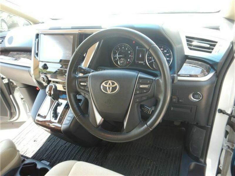 ALPHARD-10