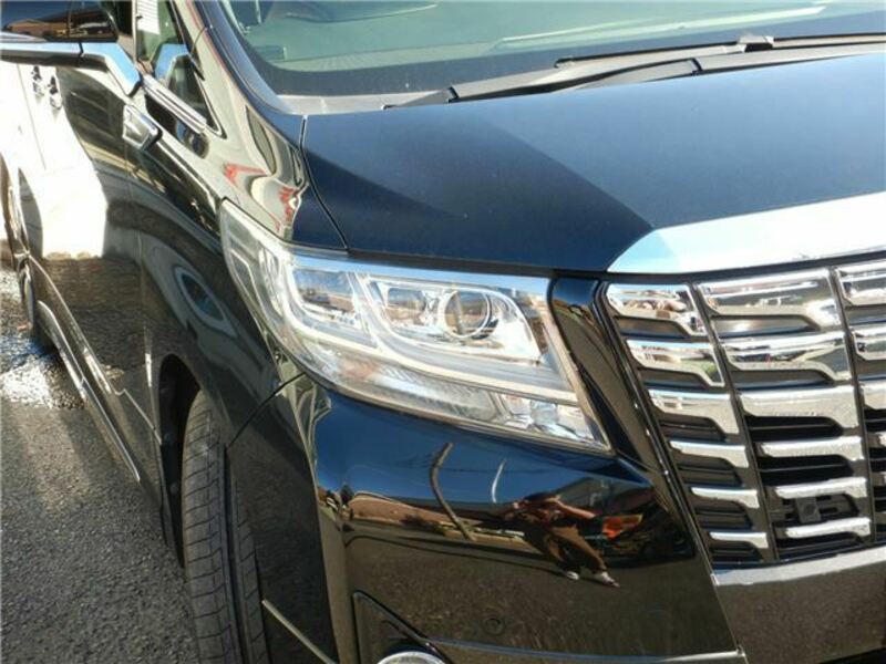 ALPHARD-9