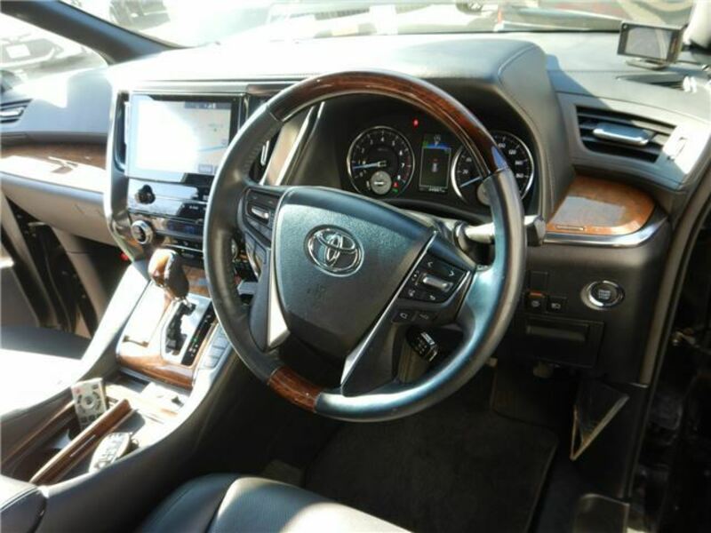 ALPHARD-12