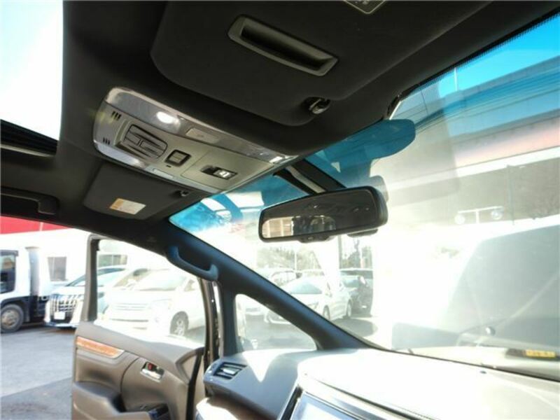 ALPHARD-19