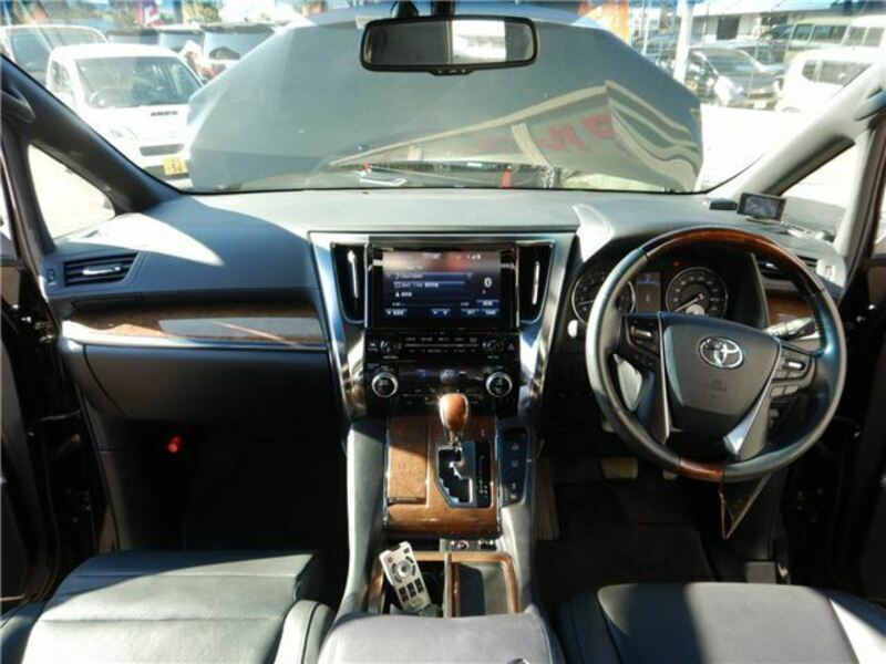 ALPHARD-26