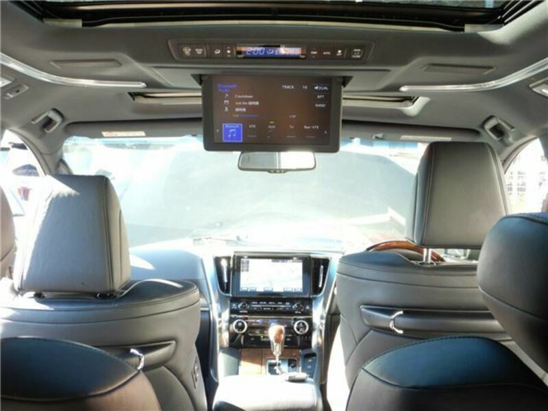ALPHARD-28