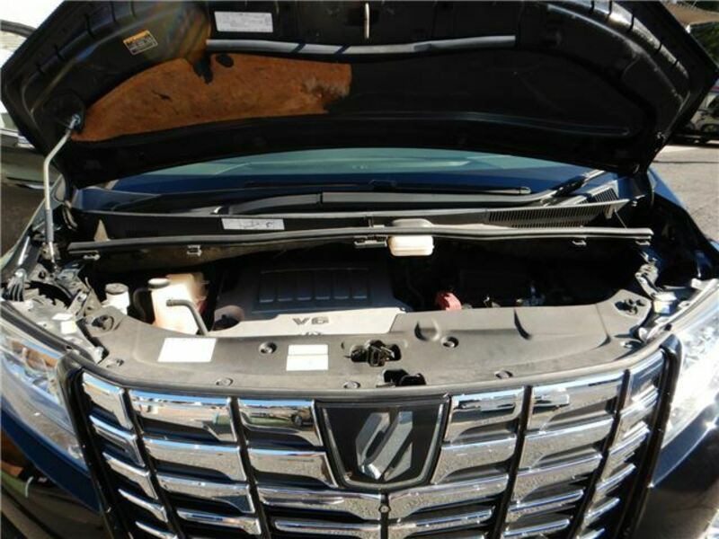 ALPHARD-34
