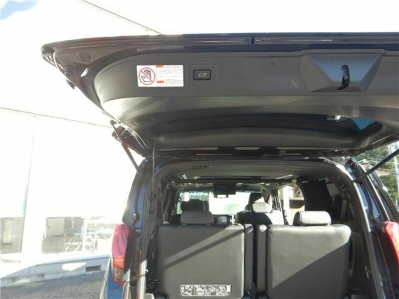 ALPHARD-36