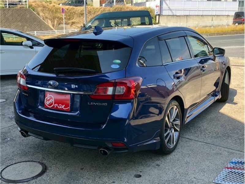 LEVORG-3